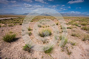 Altiplano of China photo