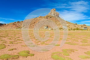 Altiplano desert arid landscape