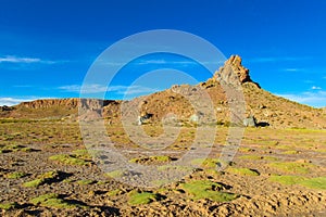 Altiplano landscape arid mountain