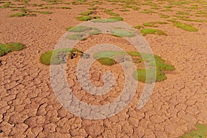 Altiplano landscape arid soil with green moss