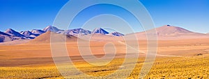 Altiplano landscape at over 4000 meters of altitude in the Atacama Desert