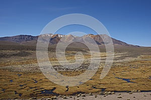 Altiplano in Lauca National Park, Chile