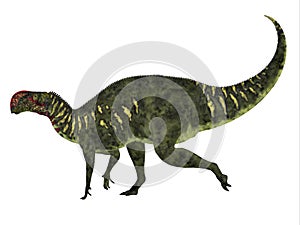 Altirhinus Dinosaur Side Profile