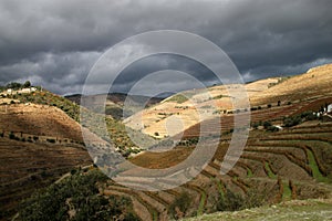Alto Douro Wine Region photo