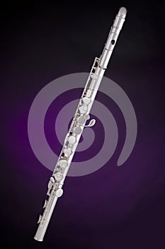 Alto Flute Isolated On Purple photo