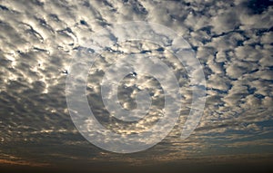 Altocumulus cloud at evening.