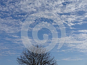 Altocumulus cloud in the sky photo