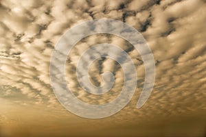 Altocumulus clouds