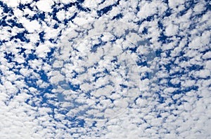 Altocumulus clouds in the blue sky