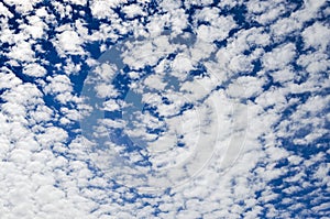 Altocumulus cloudscape on blue blue sky