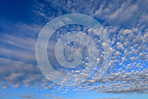 Altocumulus floccus clouds