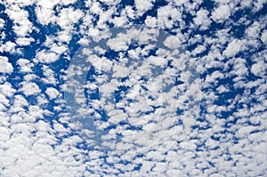 Altocumulus middle-altitude cloud in stratocumuliform - natural background