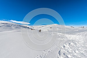 Altopiano della Lessinia - Lessinia Plateau in Winter with Snow Veneto Italy