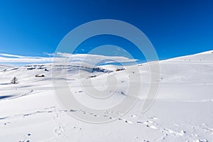 Altopiano della Lessinia - Lessinia Plateau in Winter with Snow Veneto Italy