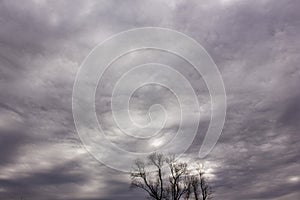 Altostratus undulatus clouds photo