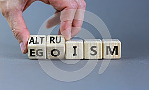 Altruism or egoism symbol. Businessman turns wooden cubes and changes the word `egoism` to `altruism`. Beautiful grey backgrou