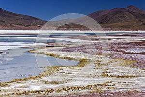 Alues Calientes Lagoon - Atacama Desert - Chile