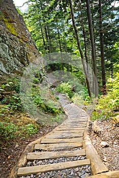 Alum Cave Trail