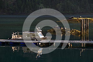 Aluminum boat at dock, illuminated by the morning sun