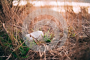 An aluminum can of drink in a forest