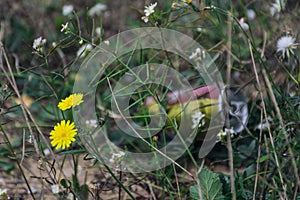 Aluminum can in the nature