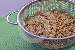 In an aluminum colander lies pearl barley, washed with warm water