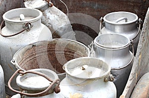 Aluminum containers to carry the fresh milk on farms photo