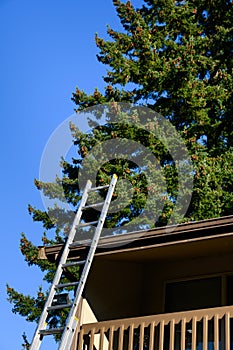 Aluminum extension ladder propped up against the roof of an apartment building, sunny fall day