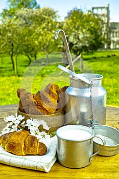 Aluminum milkcan witn organic milk and fresh baked croissants