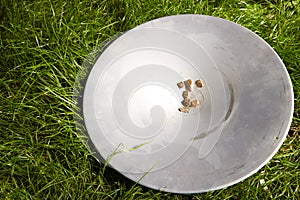 Aluminum pan with several golden nuggets