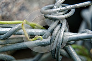 Aluminum wire twisted on stone object, macro background