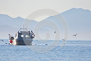 Aluminum work boat hauls in crab nets near Sooke Harbour on a sunny autumn afternoon