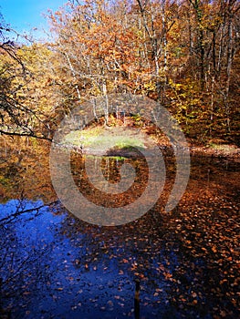 Alunis Lake Sovata, Romania - autumn season photo
