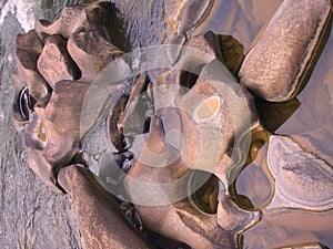 Aluvial rock formation