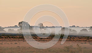 Alvar limestone moor in the early morning