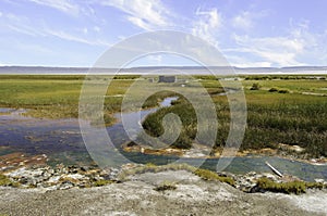 Alvord Hot Springs, Harney County, Southeastern Oregon, Western United States