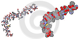 Alzheimer's disease amyloid beta peptide (1-42)