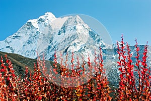 Ama Dablam
