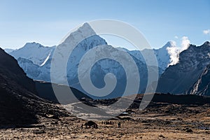 Ama Dablam mountain peak at Dzongla village in a morning, Everest region, Nepal