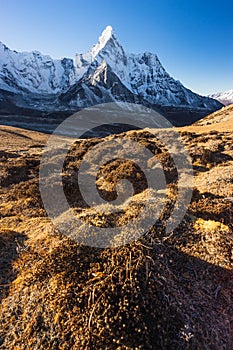 Ama Dablam mountain peak view from the way to Chukung Ri , Evererst region in Himalaya mountains range, Nepal