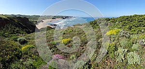 Amado beach in Portugal