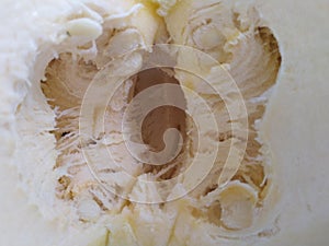 Texture of inside of green Pumpkin .