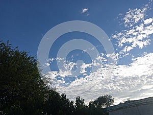 Amaizing view clouds with tree