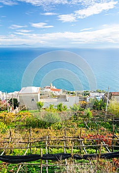 Amalfi Coast