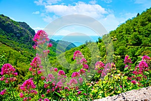 Amalfi Coast, Italy. View on the enchanting hills of the Lattari Mountains close to the Amalfi Coast. In the distance the sea