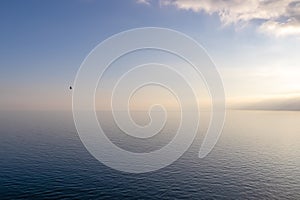 Amalfi - A wild bird flying over the sea at sunset at the Amalfi Coast in Campania, Italy