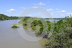 Amana River, an Amazon tributary, Amazonas state, Brazil