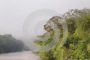 Amana River, an Amazon tributary, Amazonas state, Brazil