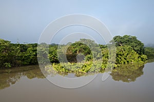 Amana River, an Amazon tributary, Amazonas state, Brazil