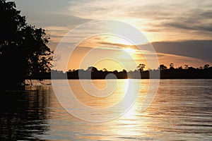 Amana River, an Amazon tributary, Amazonas state, Brazil